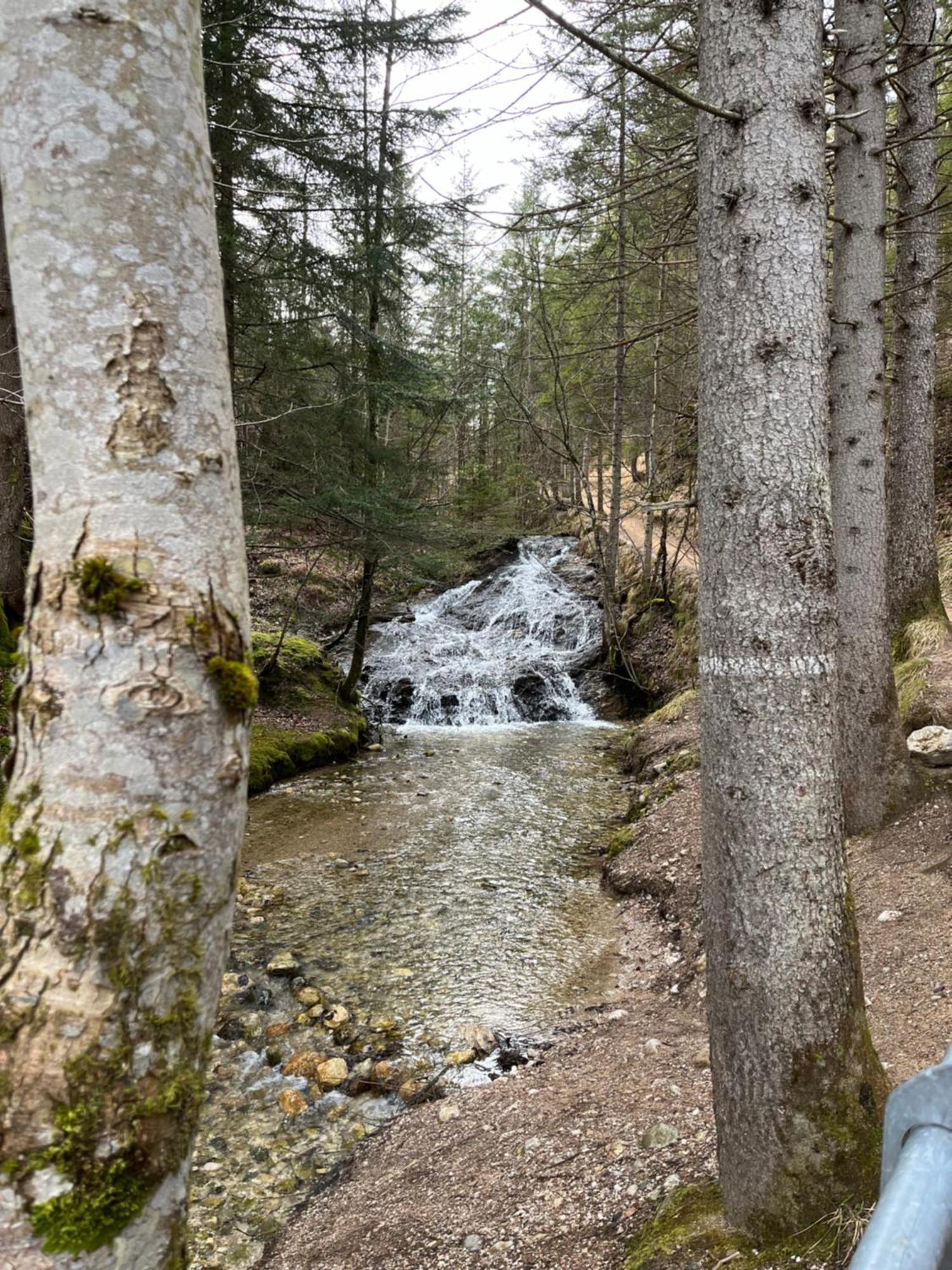Fewo Lautersee Mittenwald Exterior foto