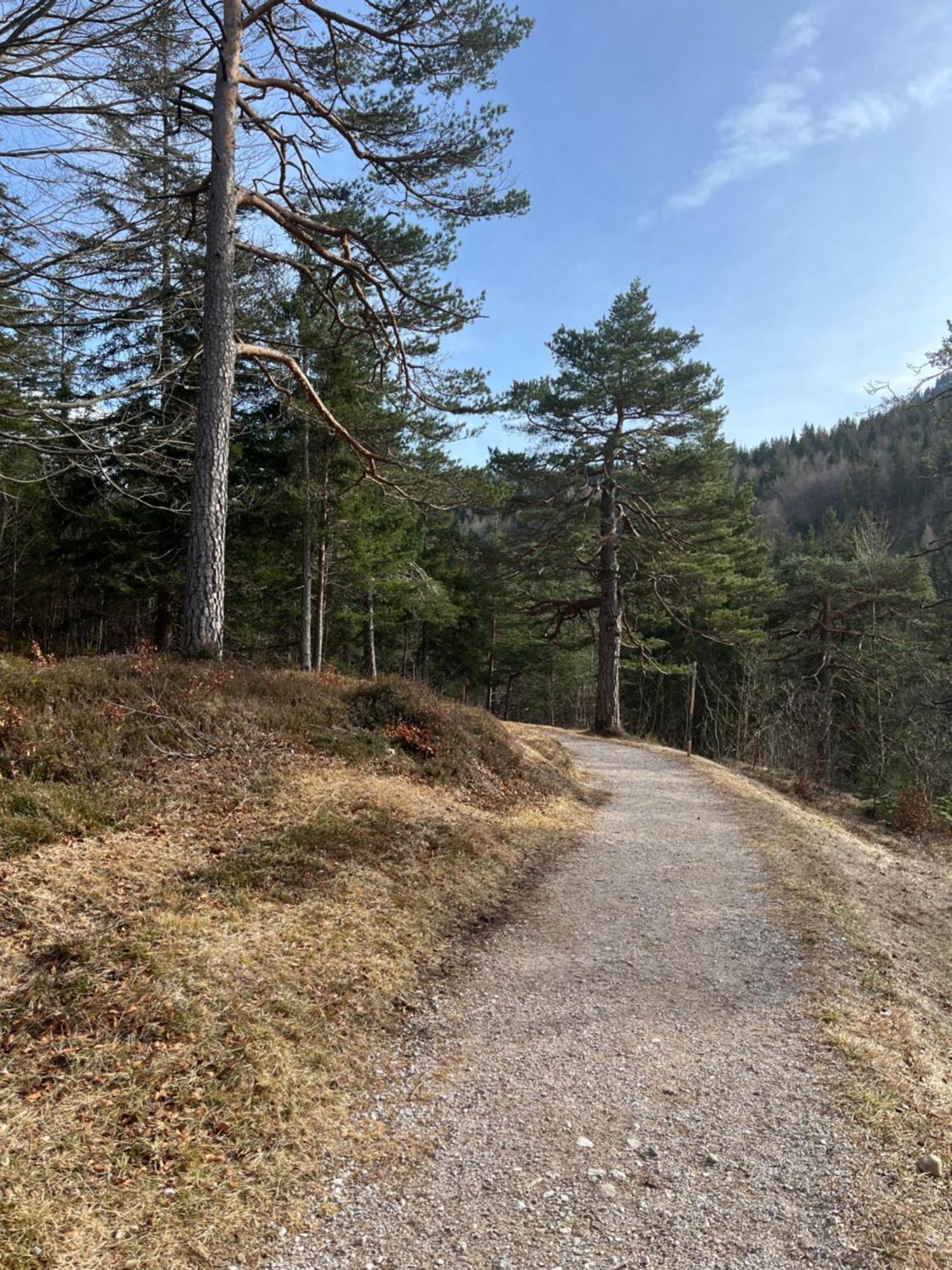 Fewo Lautersee Mittenwald Exterior foto